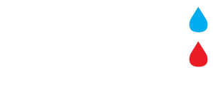 Bos Groep